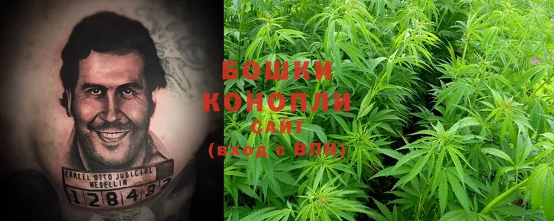 Марихуана SATIVA & INDICA  где найти   Калачинск 